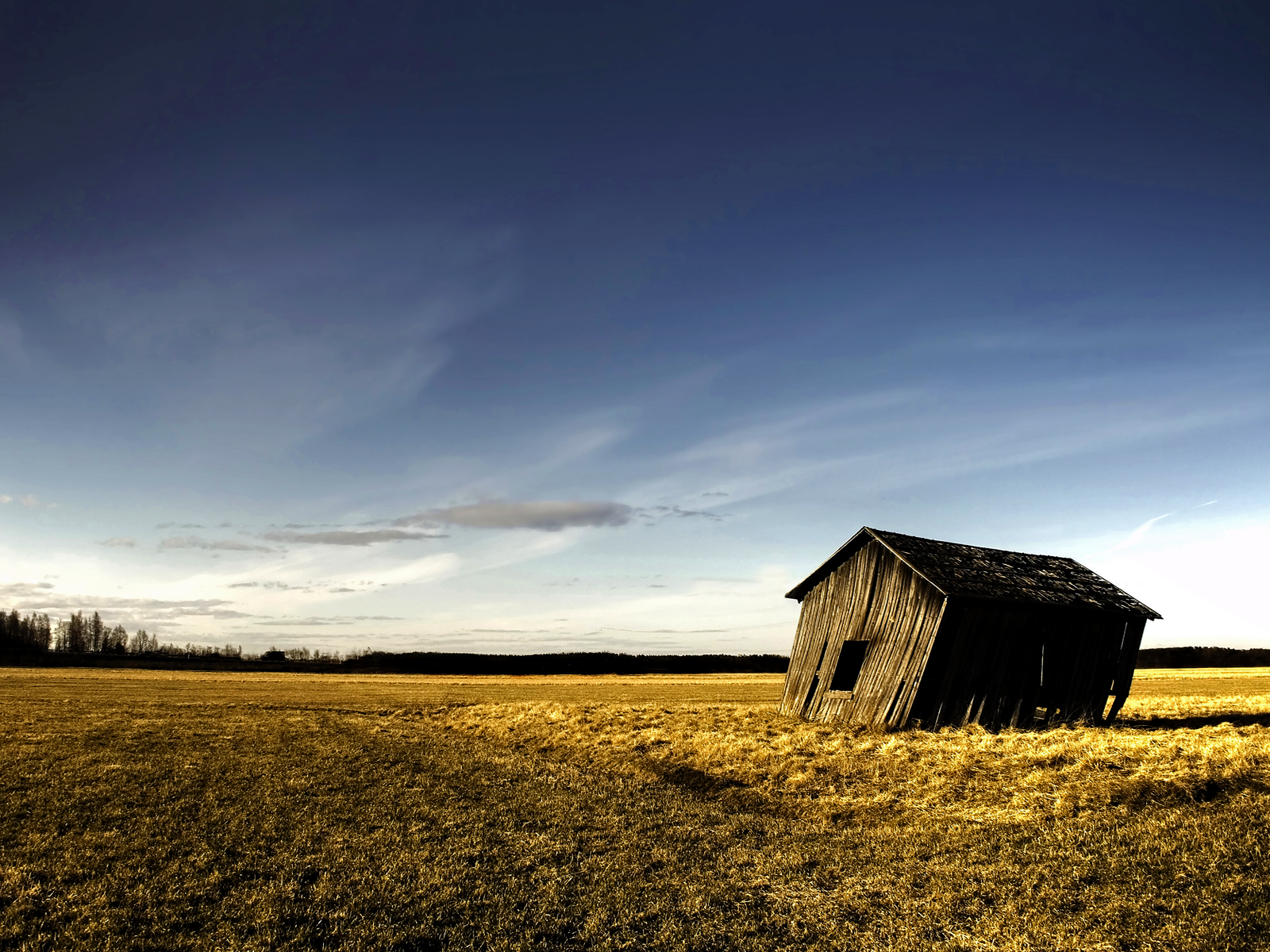 windy-prairie-wall-inkbluesky.png